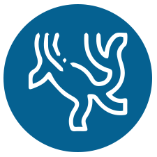 Icon Phình bóc tách